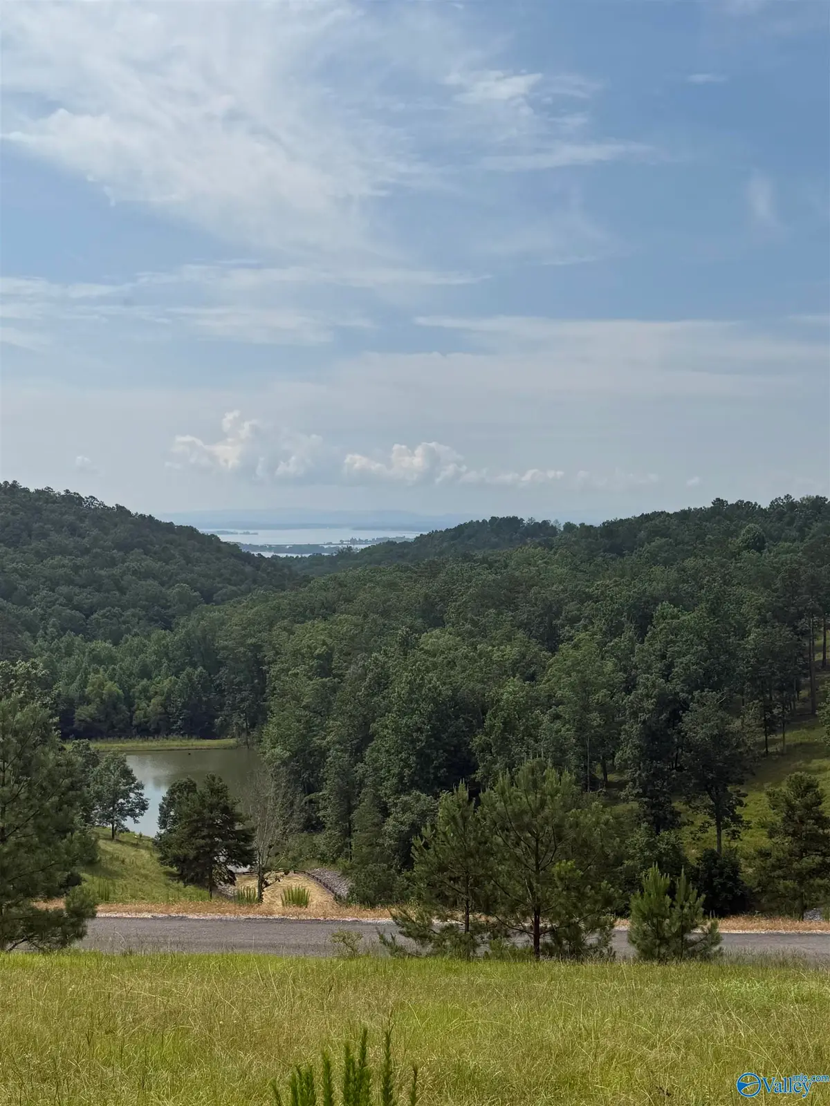 Lot 215 County Road 1022 #215, Cedar Bluff, AL 35959 - Image #1