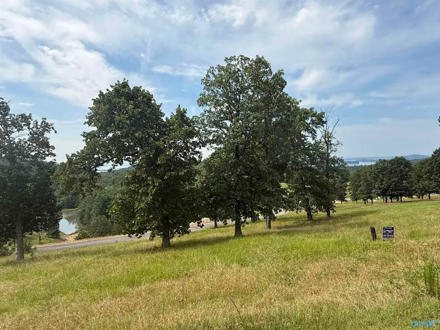 Lot 215 County Road 1022 #215, Cedar Bluff, AL 35959 - Image #2