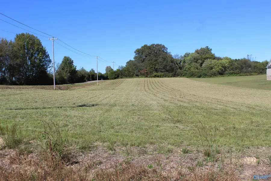 3.1 Acres Mooresville Road, Athens, AL 35613 - #3