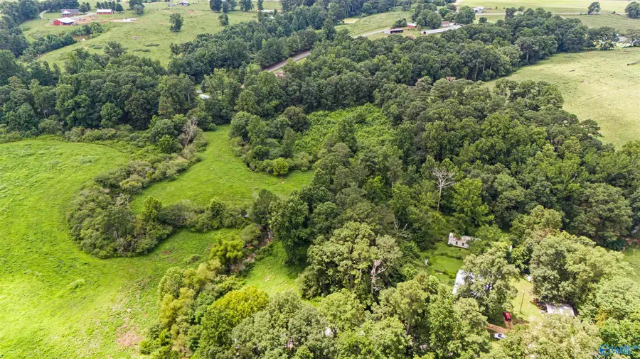 19 Acres County Road 1108, Vinemont, AL 35179 - Image #2