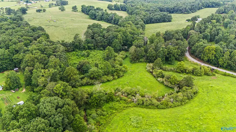 19 Acres County Road 1108, Vinemont, AL 35179 - Image #3