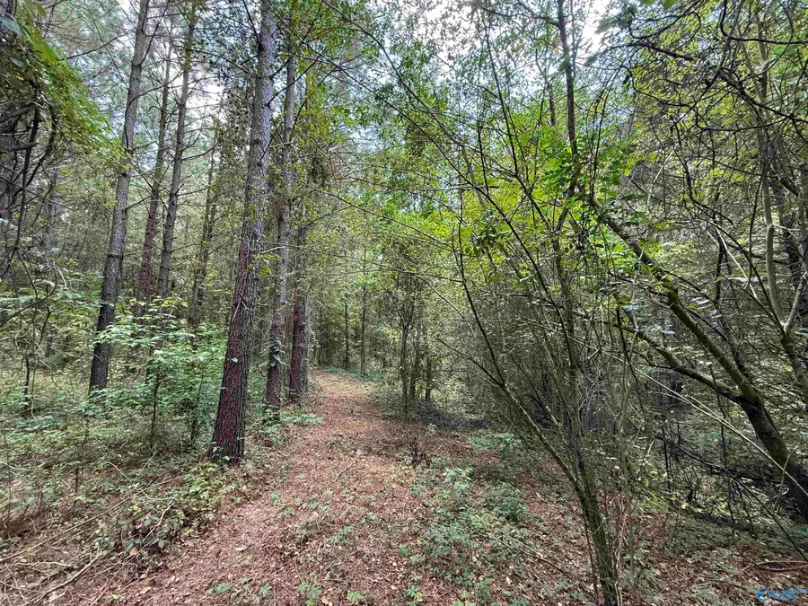 25 Acres Silo Road, Altoona, AL 35952 - Image #2
