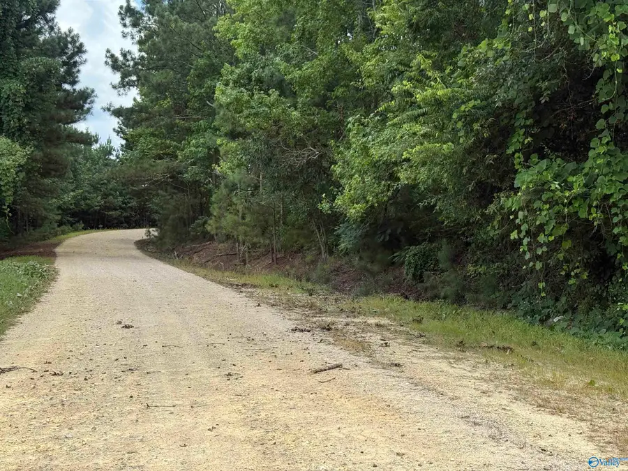 21 AC Silo Road, Altoona, AL 35952 - Image #3