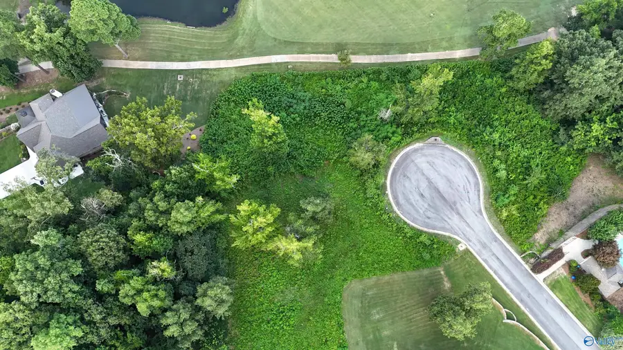 Lot 41 Spy Glass Cove, Guntersville, AL 35796 - Image #2