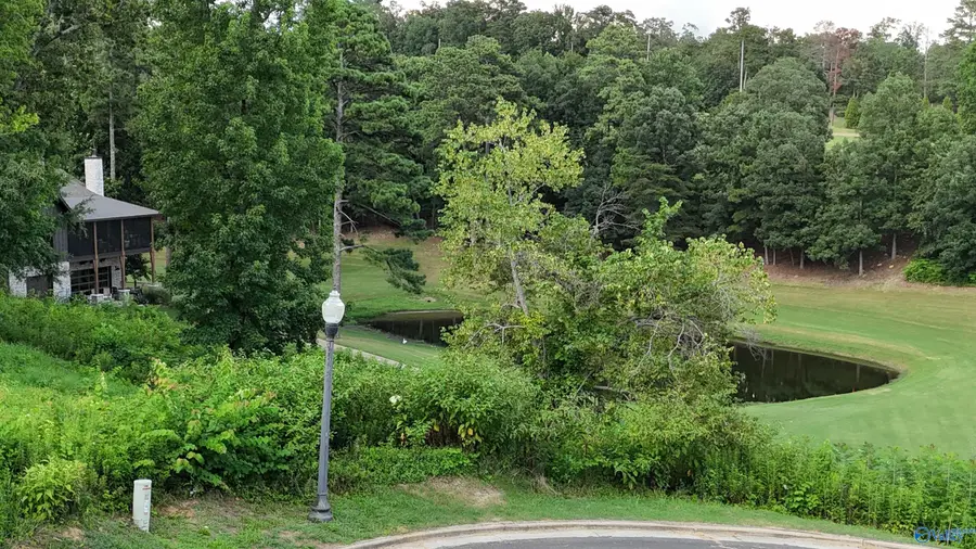 Lot 41 Spy Glass Cove, Guntersville, AL 35796 - Image #3
