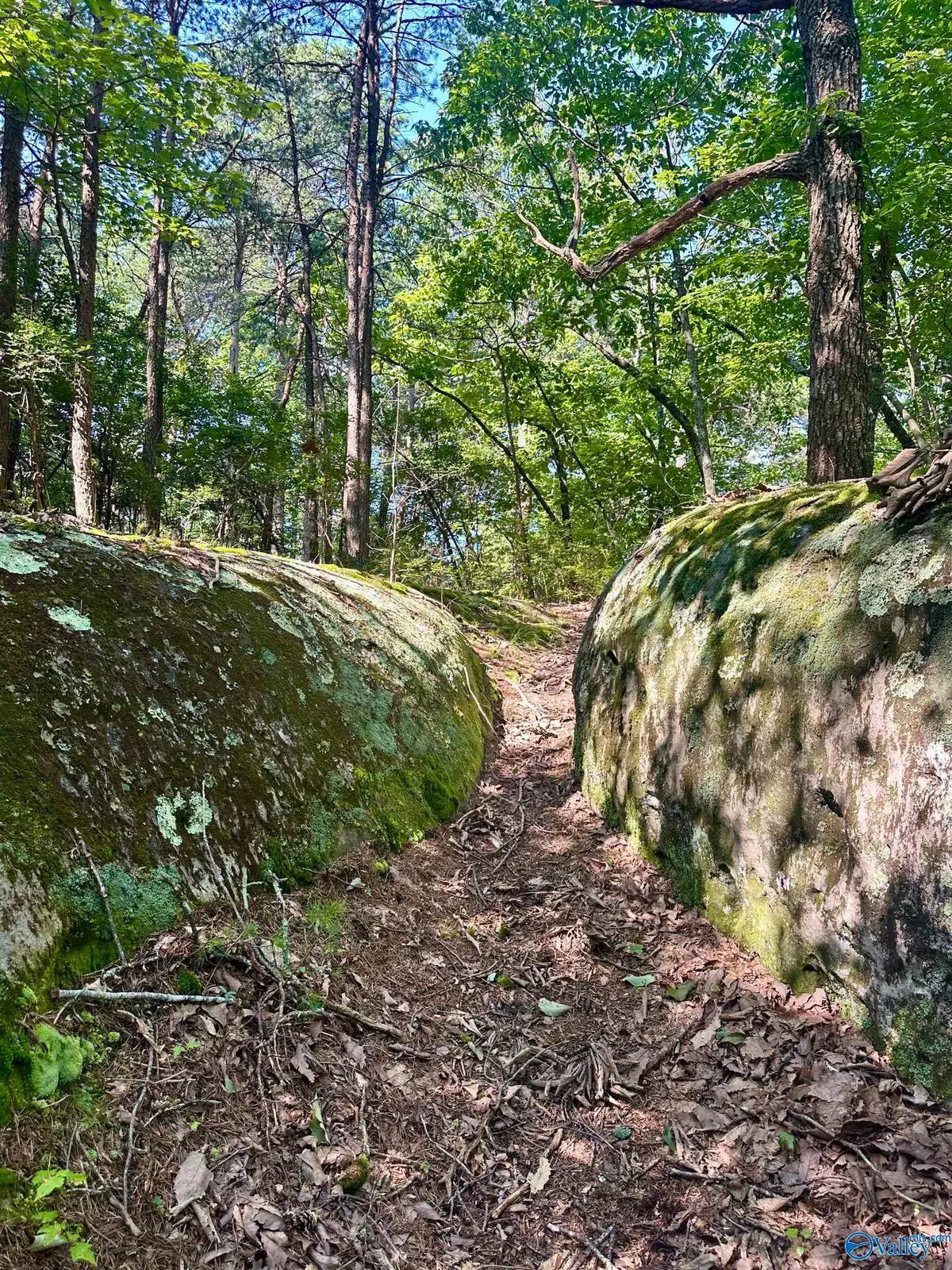 .80 Honeycomb Road, Grant, AL 35747 - Image #1