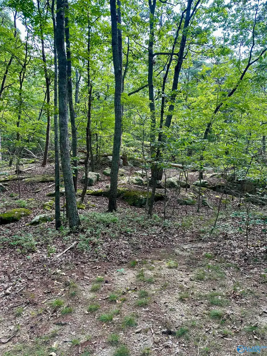 .80 Honeycomb Road, Grant, AL 35747 - Image #2