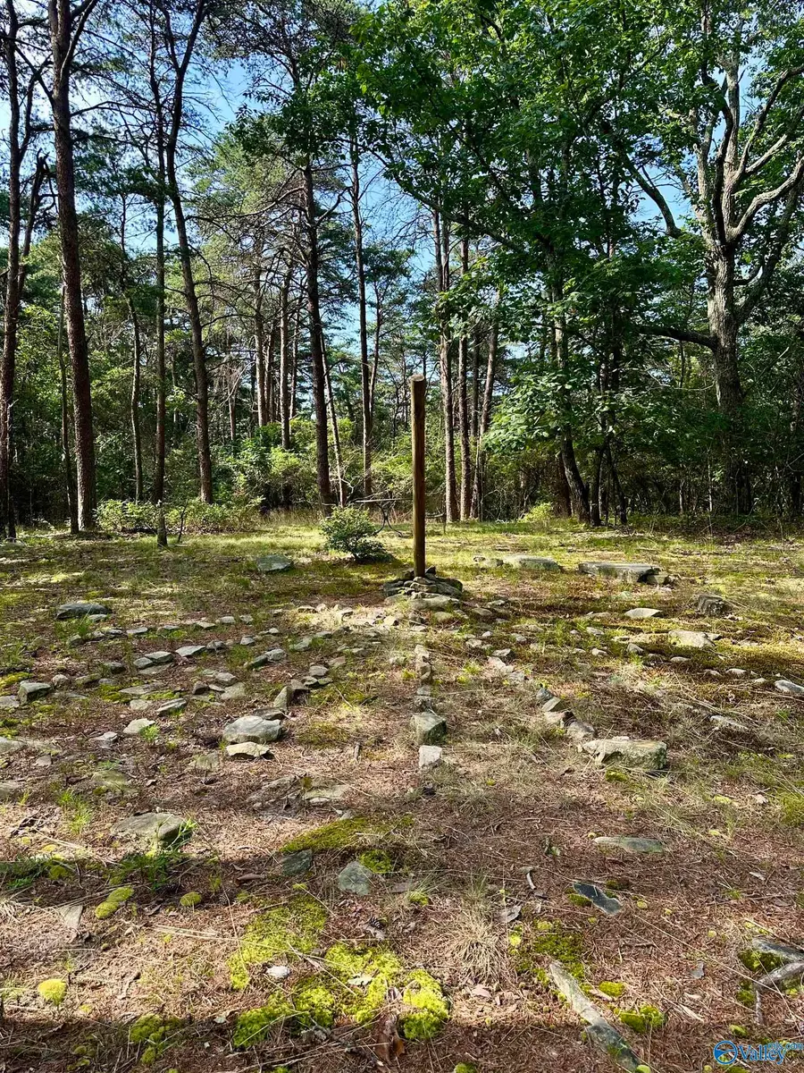 .80 Honeycomb Road, Grant, AL 35747 - Image #3