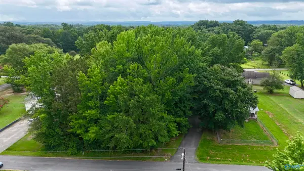 .37+/- Lot Park Road, Fort Payne, AL 35967