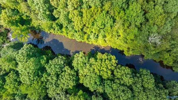 1552 County Road 632, Mentone, AL 35984