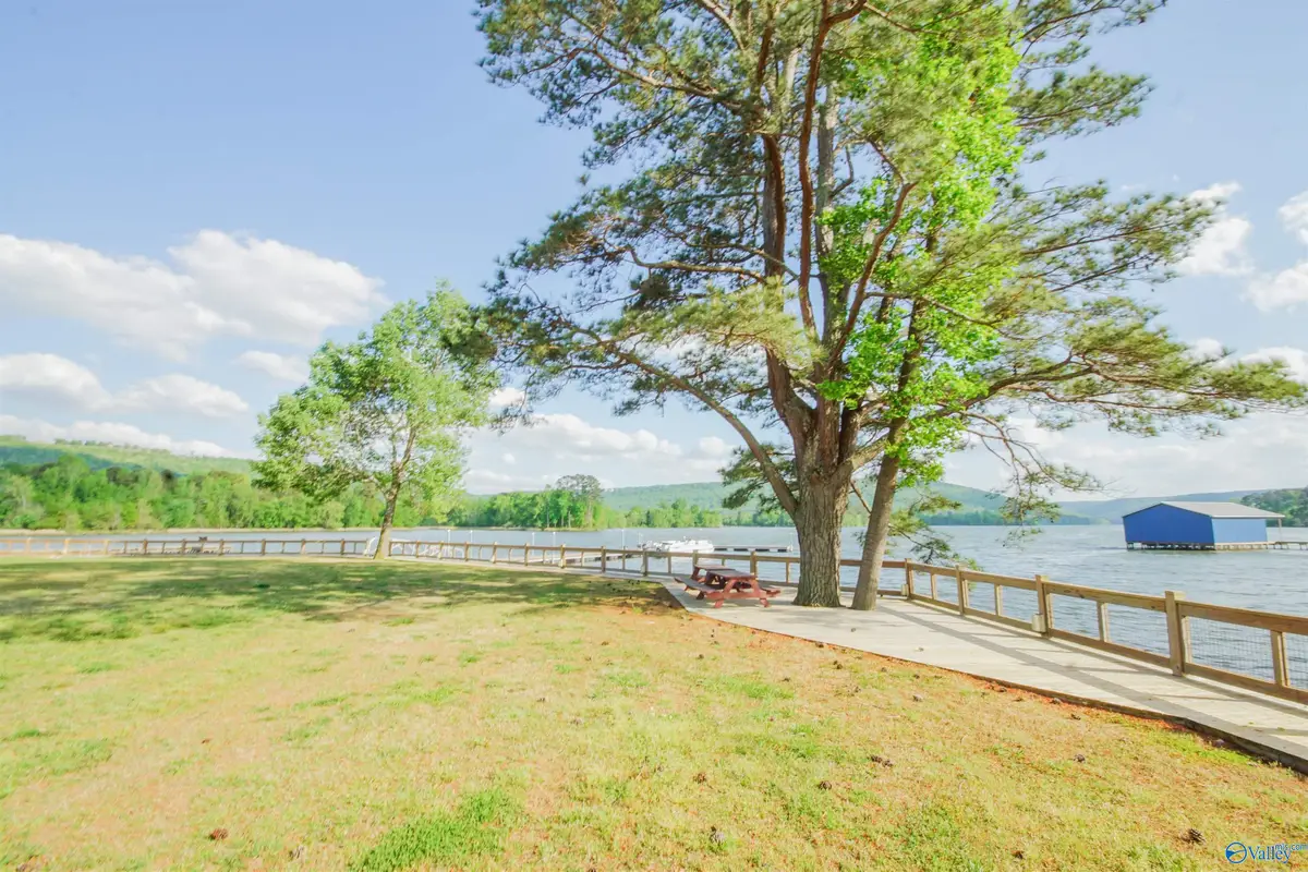 10174 County Road 67 #LOT 47, Langston, AL 35755 - Image #1