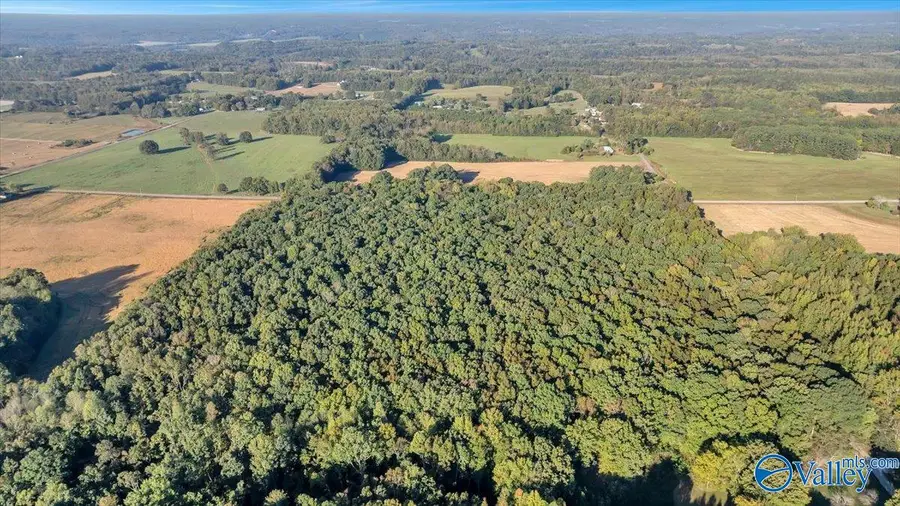 20 Acres Little Coffman Road, Lester, AL 35647 - Image #3