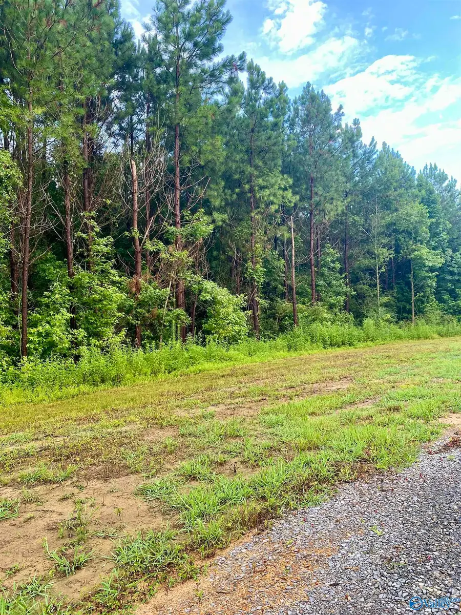 3109 County Road 41, Fyffe, AL 35971 - Image #2
