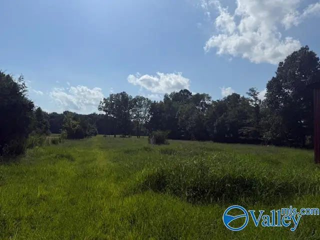 396 Billy D Harbin Road, New Market, AL 35761 - Image #2