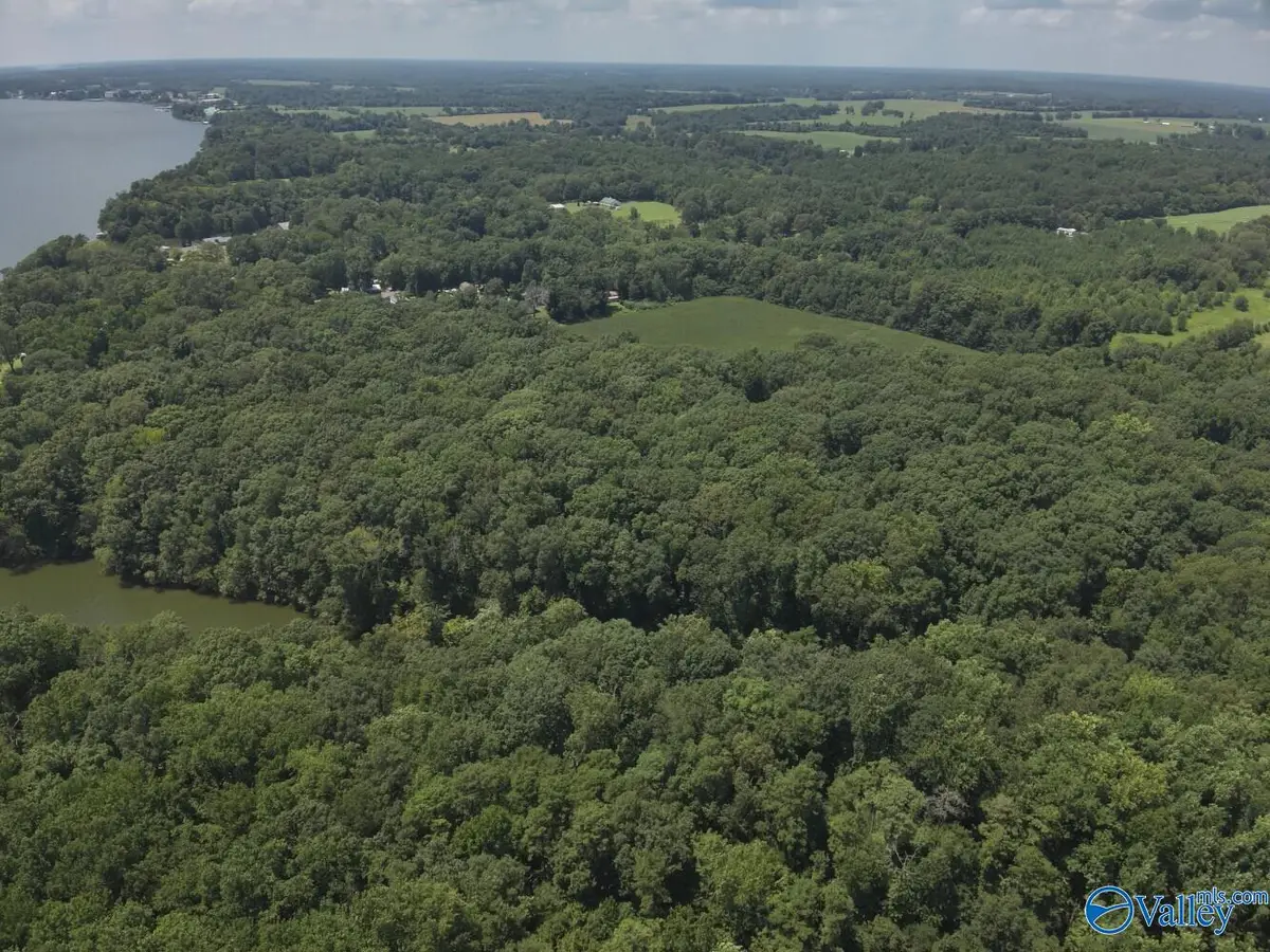49.59 +/- Acres Snake Road, Athens, AL 35611 - Image #1