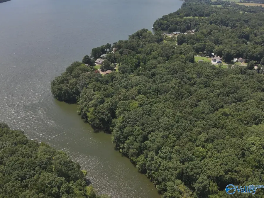 49.59 +/- Acres Snake Road, Athens, AL 35611 - Image #3