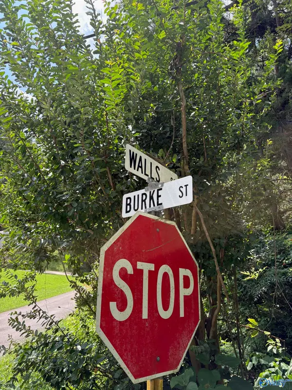 Lot 10 Walls Street, Guntersville, AL 36976