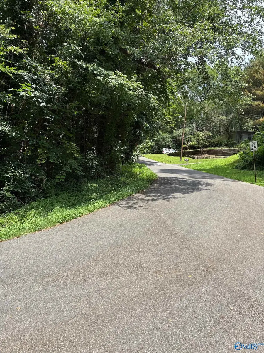 Lot 10 Walls Street, Guntersville, AL 36976 - Image #2