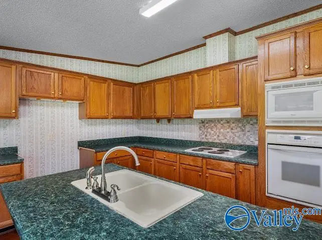 202 Road 1913, Cedar Bluff, AL 35960 - Image #3