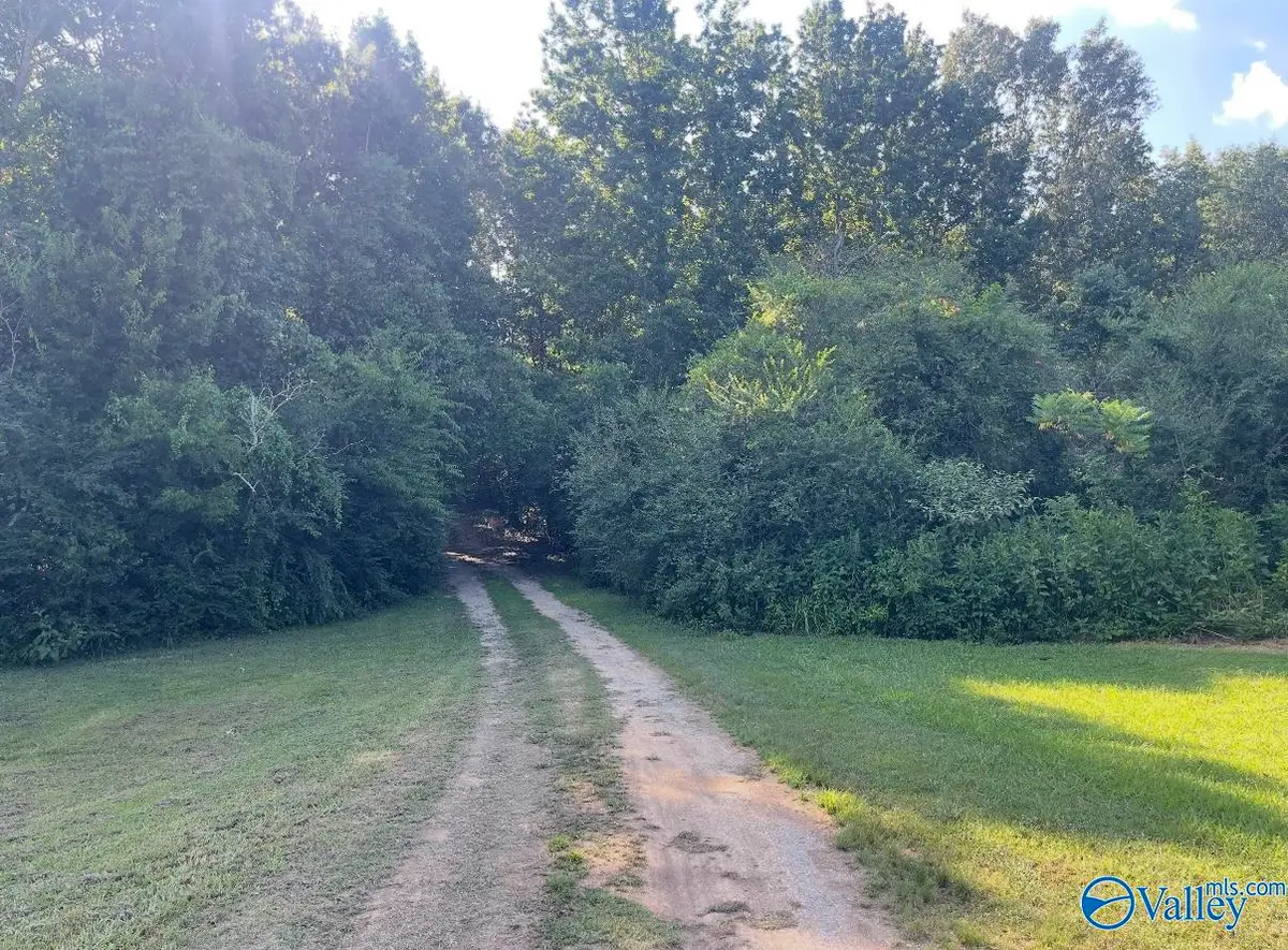25 acres Meltonsville Road, Guntersville, AL 35976 - Image #1