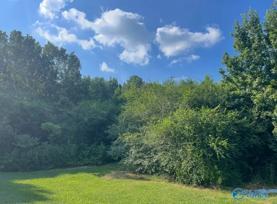 25 acres Meltonsville Road, Guntersville, AL 35976 - Image #2