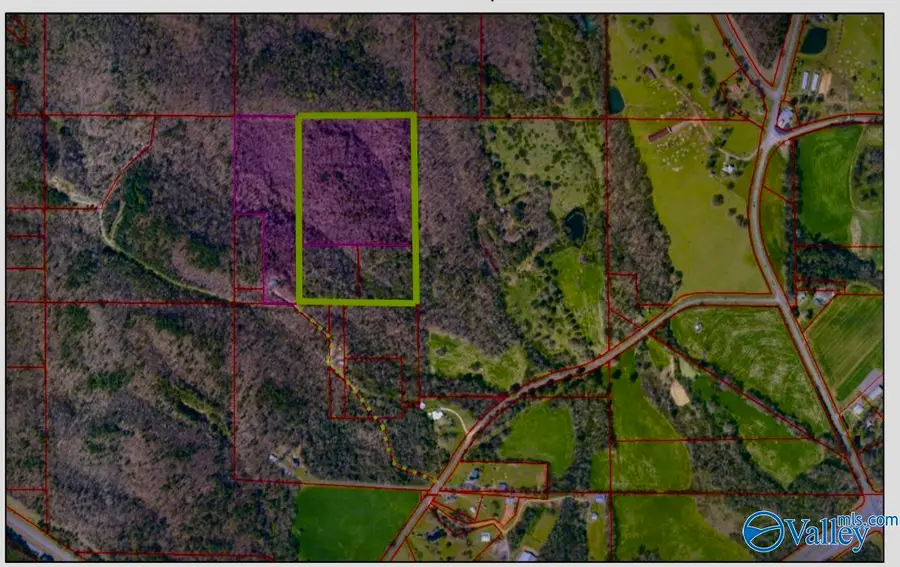 25 acres Meltonsville Road, Guntersville, AL 35976 - Image #3