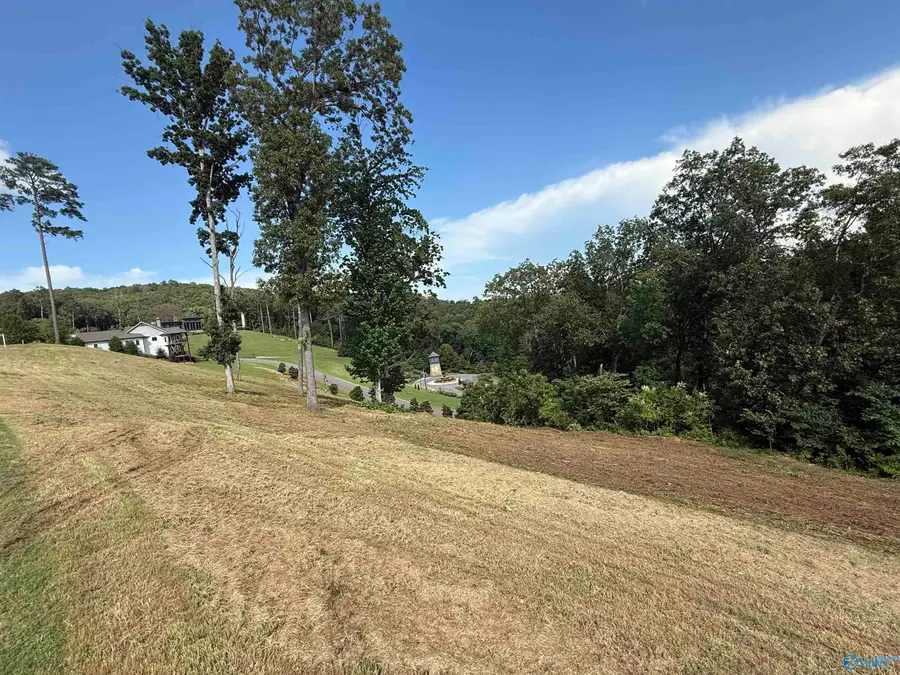 LOT 19 Fall Creek Drive, Guntersville, AL 35976 - Image #2