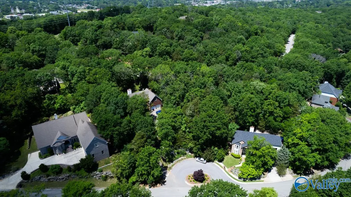 10132 Skylark Drive, Huntsville, AL 35803 - Image #1