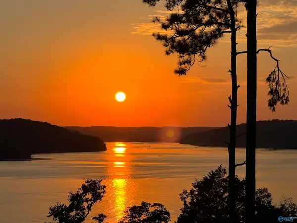 LOT 65 Fall Creek Drive, Guntersville, AL 35976