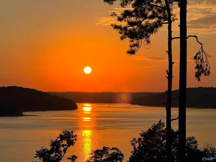 LOT 73 Fall Creek Drive, Guntersville, AL 35976 - Image #3