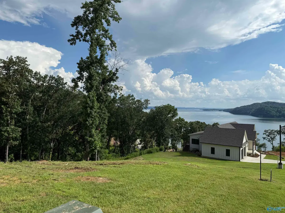 LOT 107 Ryan Drive, Guntersville, AL 35976 - Image #1