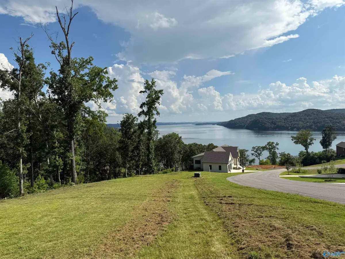 LOT 109 Ryan Drive, Guntersville, AL 35976 - Image #1
