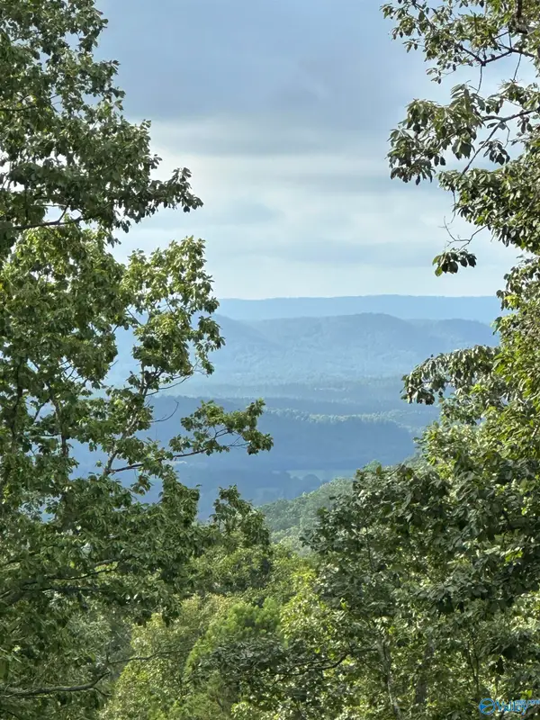 195 County Road 844, Mentone, AL 35984