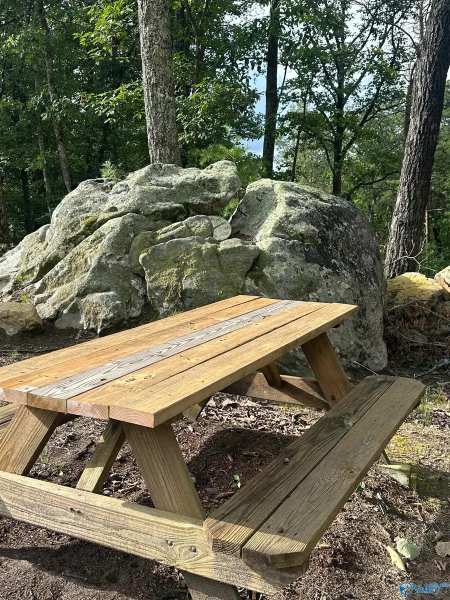 195 County Road 844, Mentone, AL 35984 - Image #3