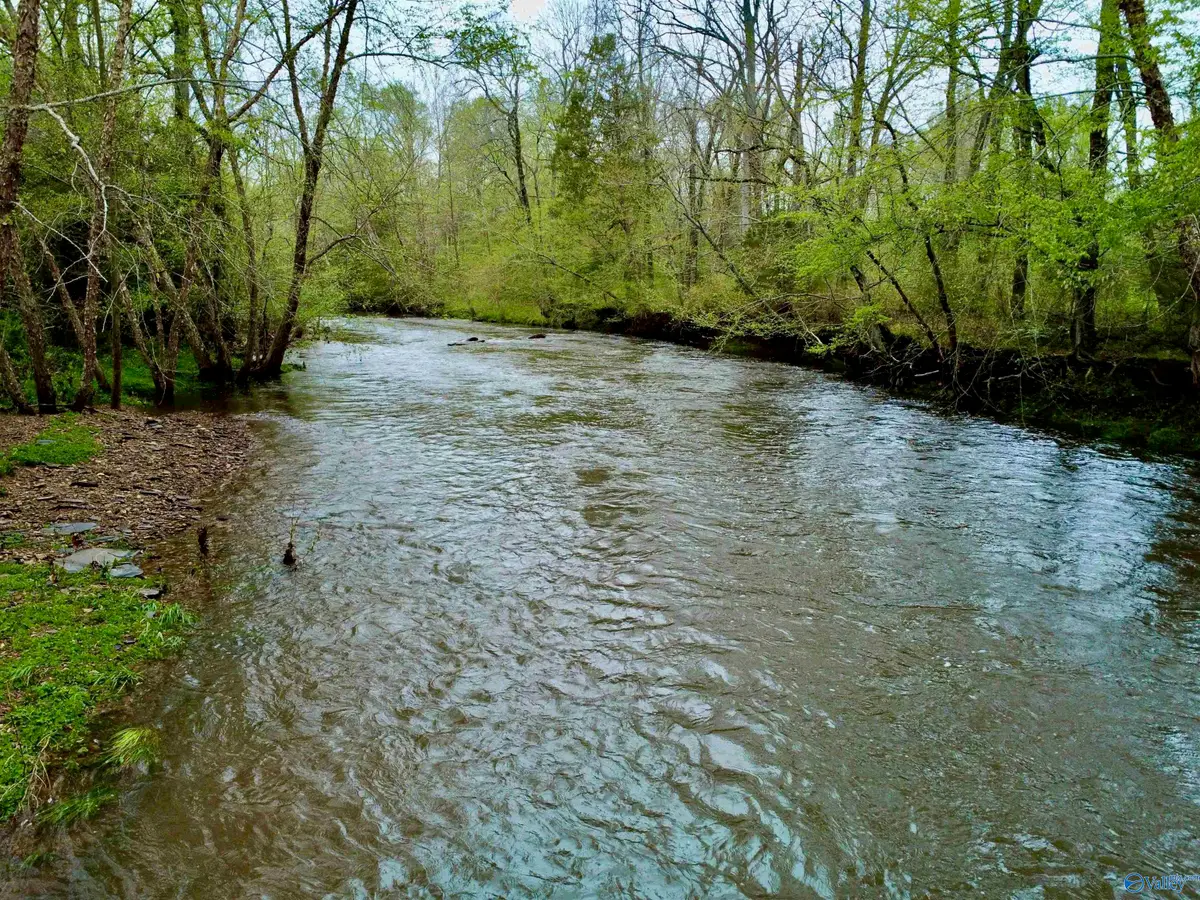 239 Unit A Mint Springs Road, New Market, AL 35761 - Image #1