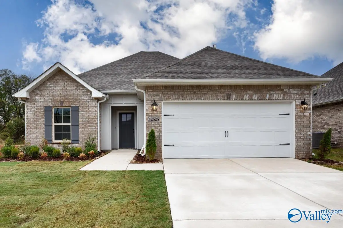 12525 Juniors Drive, Madison, AL 35756 - Image #1
