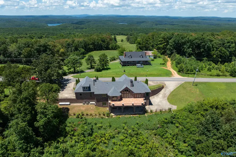 8378 Pine Mountain Road, Springville, AL 35146 - Image #2