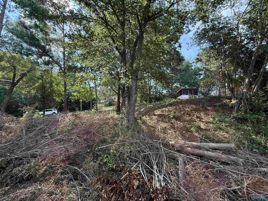Lot 34 Rayburn Avenue, Guntersville, AL 35976 - Image #3