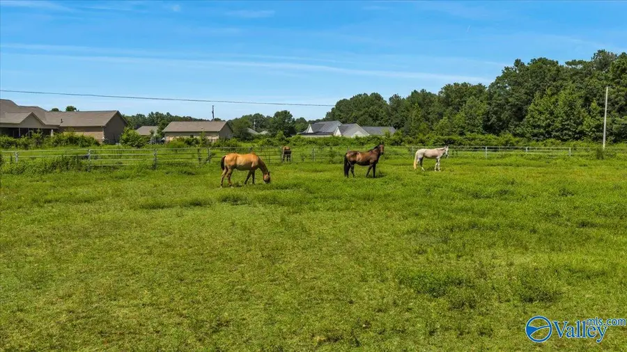 19000 Meadows Road, Athens, AL 35613 - Image #3