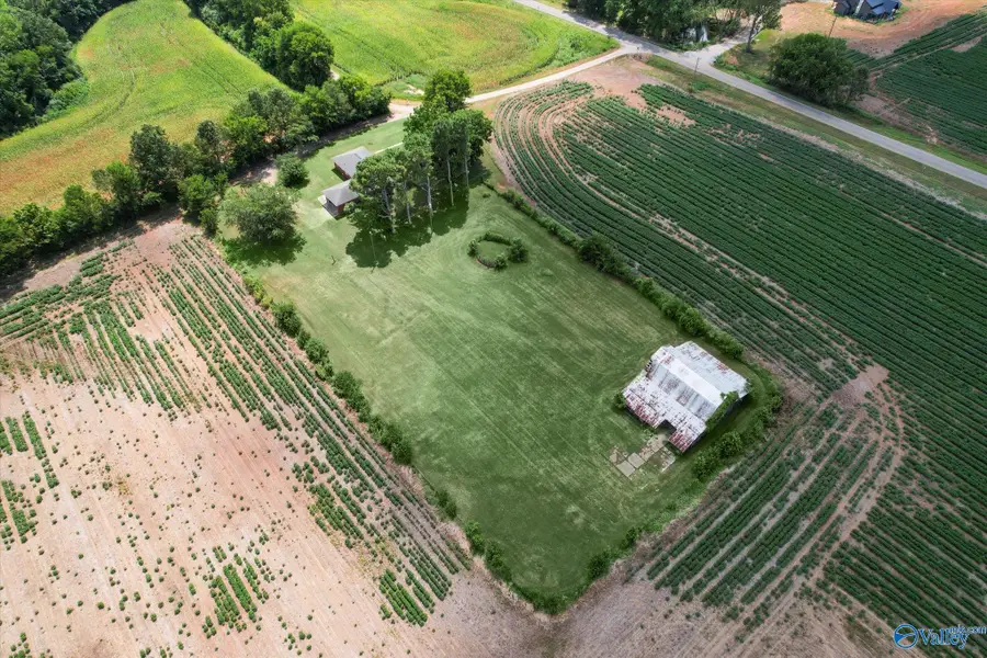 2360 County Road 29, Mount Hope, AL 35651 - Image #2