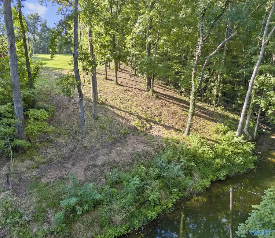 491 Jabo Drive, Killen, AL 35645 - #3