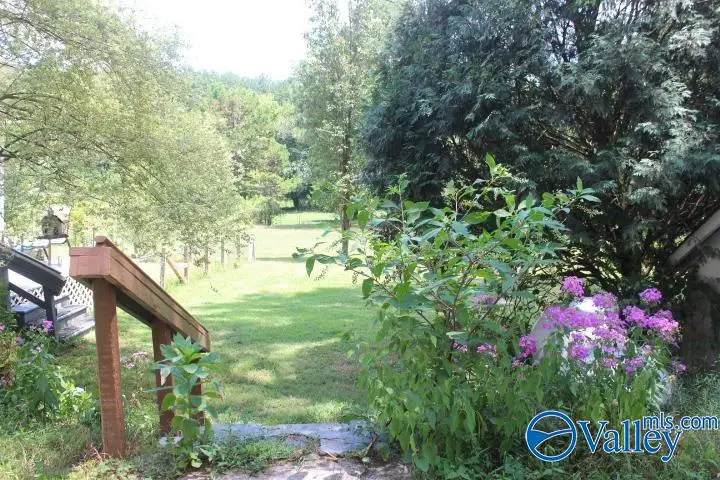 132 Winston Drive, Valley Head, AL 35989 - Image #2