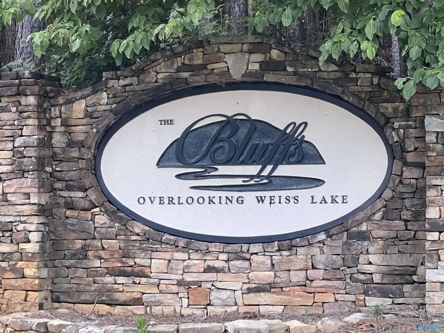 Lot 43 County Road 1016, Cedar Bluff, AL 35959 - Image #2