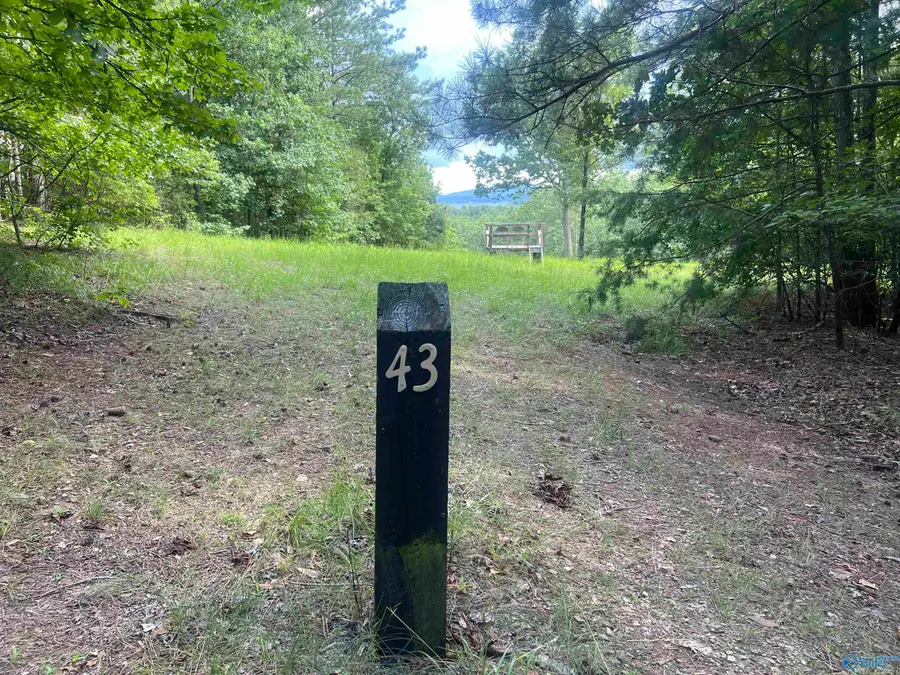 Lot 43 County Road 1016, Cedar Bluff, AL 35959 - Image #3