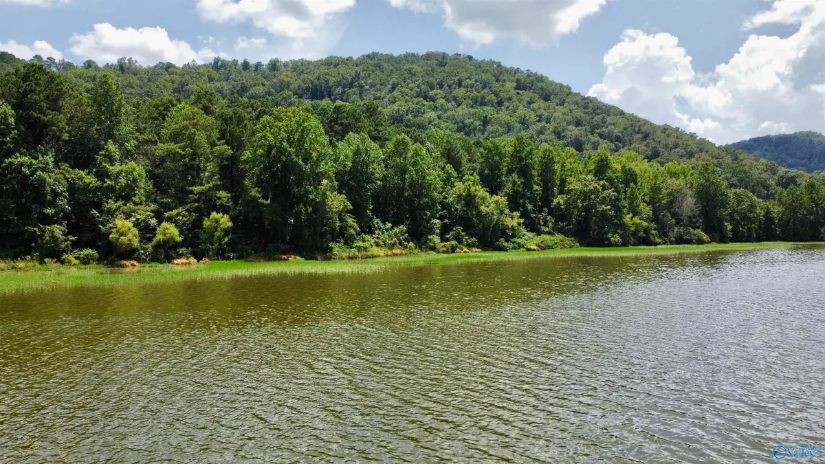 148 acres County Road 21, Ashville, AL 35953 - Image #1