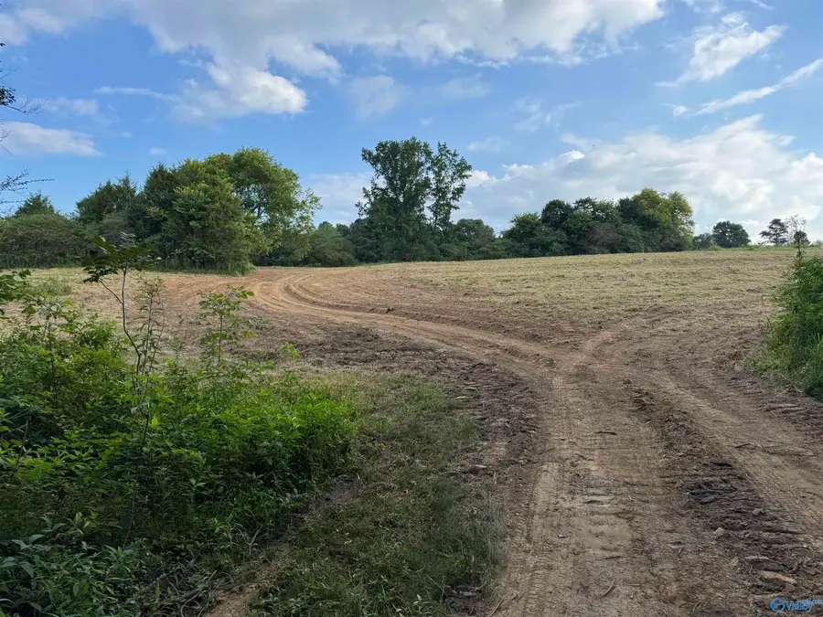 2.17 Baker Mountain Road, Grant, AL 35747 - Image #3