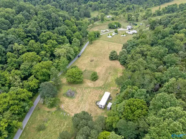 55 Thompson Hollow Road, Taft, TN 38488