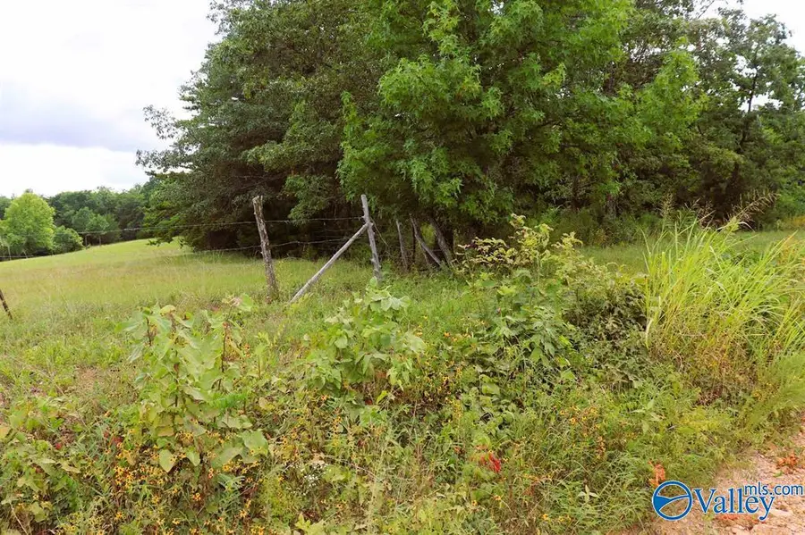 3 Acres County Road 198, Danville, AL 35619 - Image #3