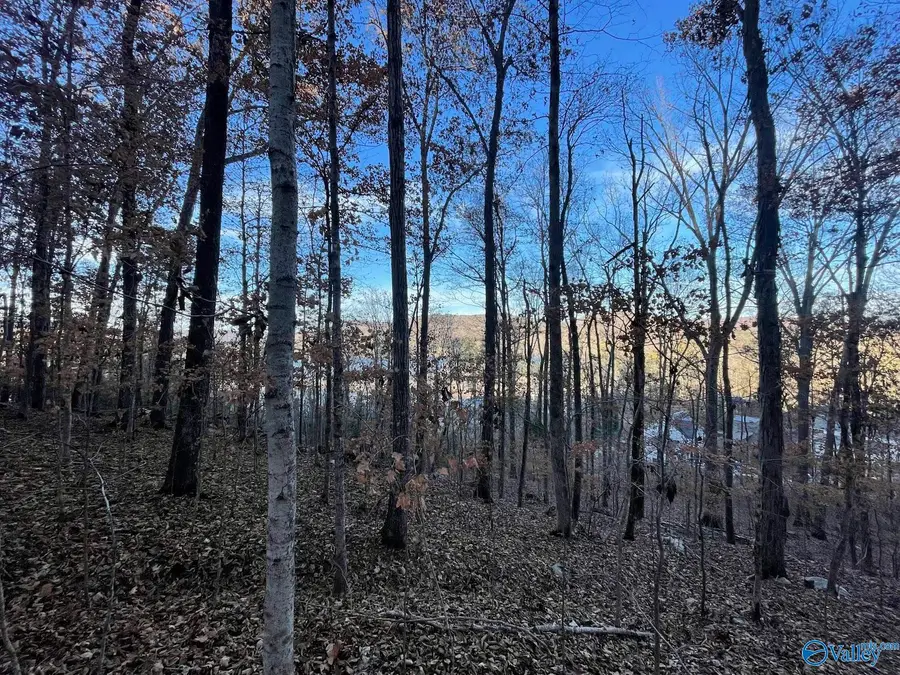 4.08 acres Mitchell Hollow Road, Grant, AL 35747 - Image #2