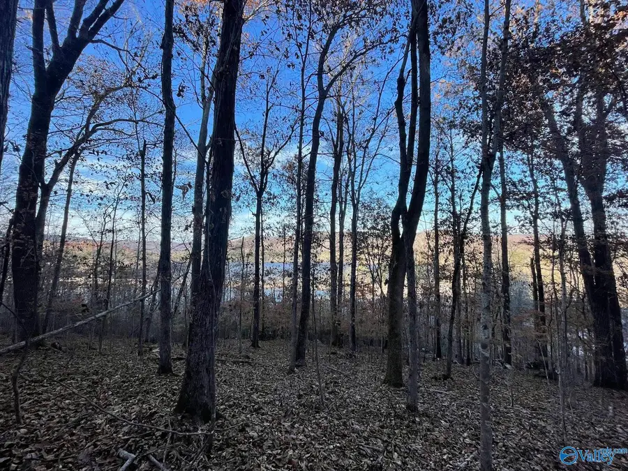 4.08 acres Mitchell Hollow Road, Grant, AL 35747 - Image #3